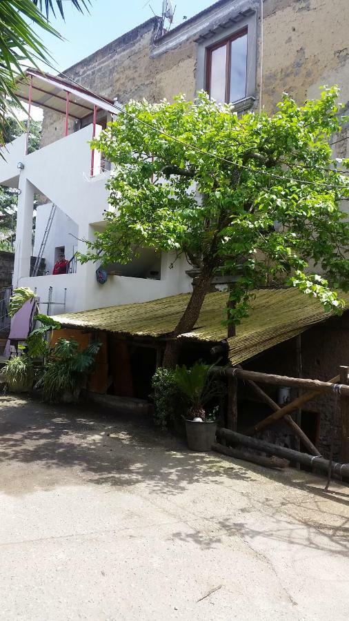 Casa Carolina B&B Sorrento Kültér fotó