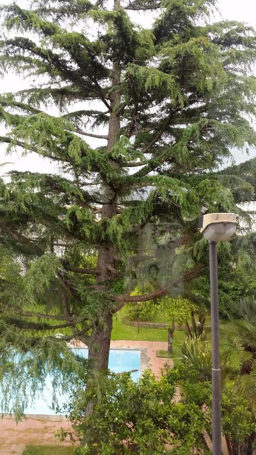 Casa Carolina B&B Sorrento Kültér fotó