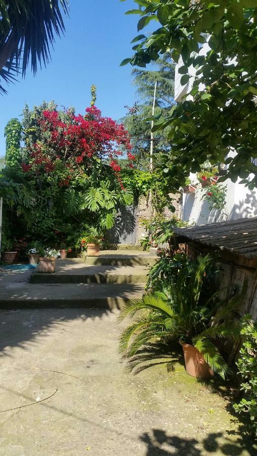 Casa Carolina B&B Sorrento Kültér fotó