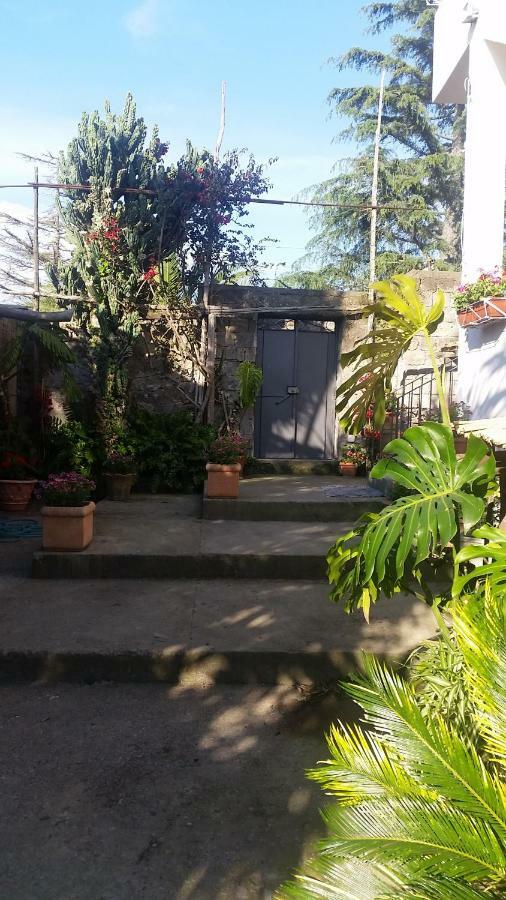 Casa Carolina B&B Sorrento Kültér fotó