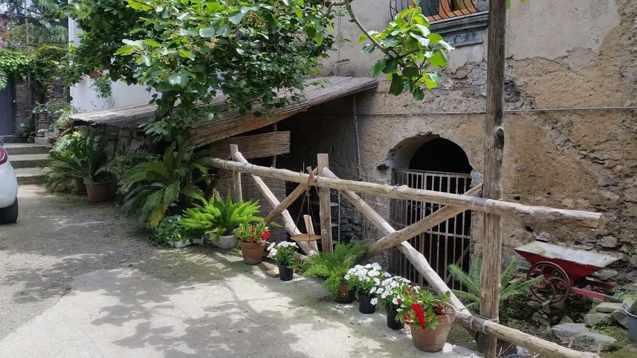 Casa Carolina B&B Sorrento Kültér fotó