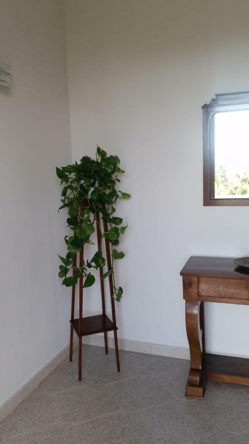 Casa Carolina B&B Sorrento Kültér fotó